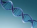 La doppia elica del DNA in una rappresentazione artistica